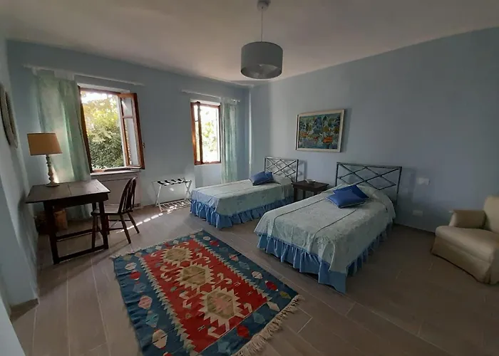 Couette-café Pona *